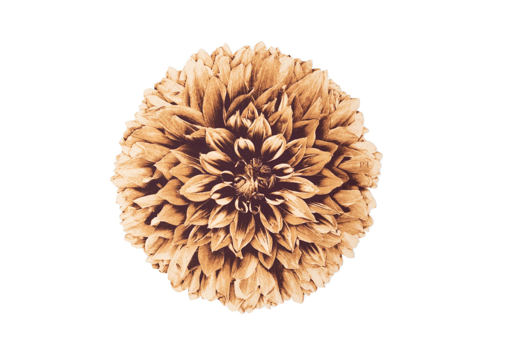 JOGO AMERICANO FLOR DE TECIDO IMPERMEÁVEL - ESTAMPA CRISÂNTEMO DOURADO PAZ