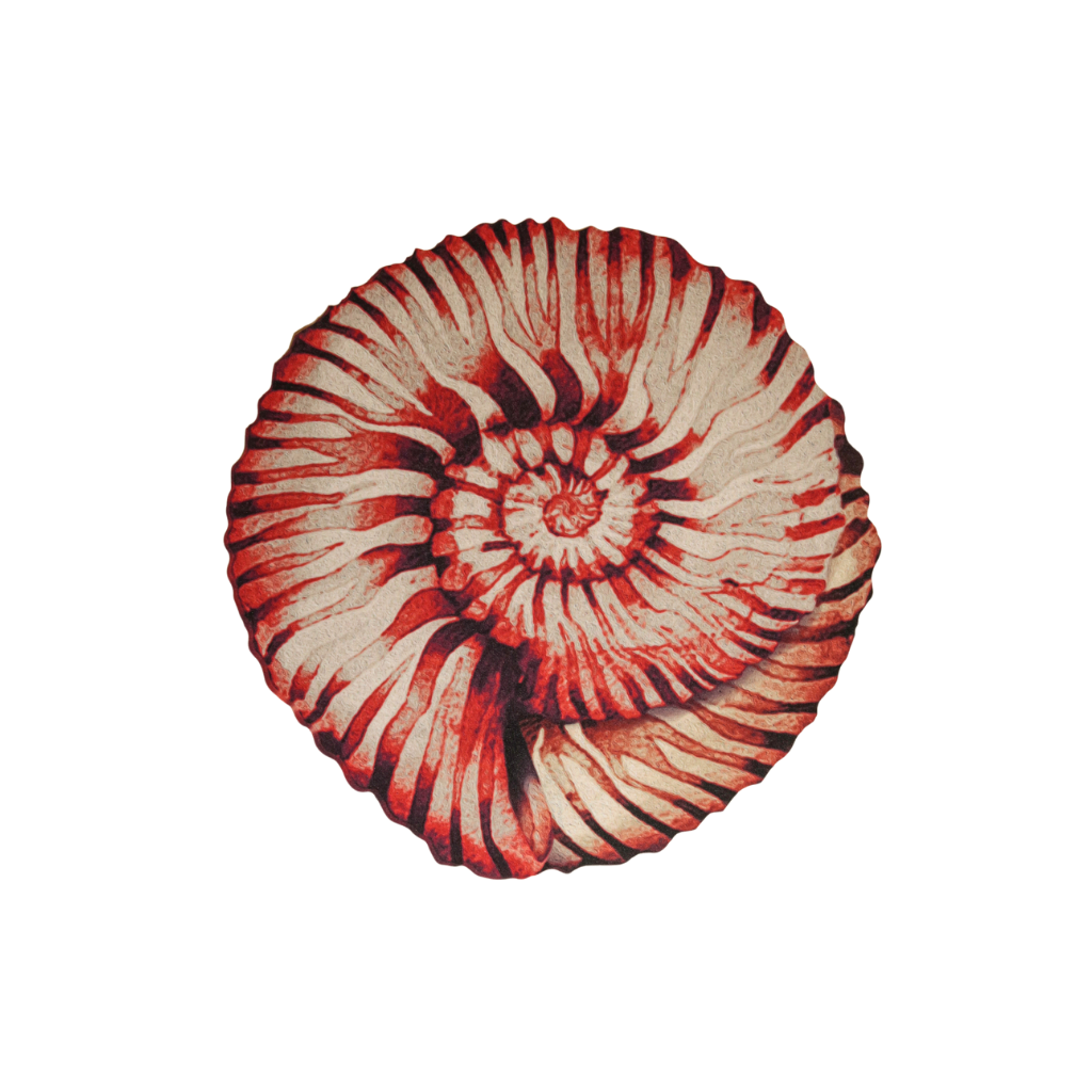 JOGO AMERICANO CONCHA DE TECIDO IMPERMEÁVEL - ESTAMPA VERMELHA MAR