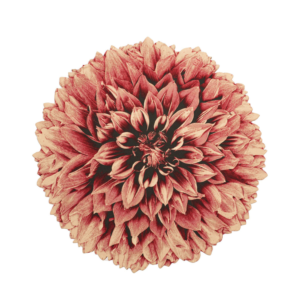 JOGO AMERICANO FLOR DE TECIDO IMPERMEÁVEL - ESTAMPA CRISÂNTEMO ROSA ANTIGO BOSQUE