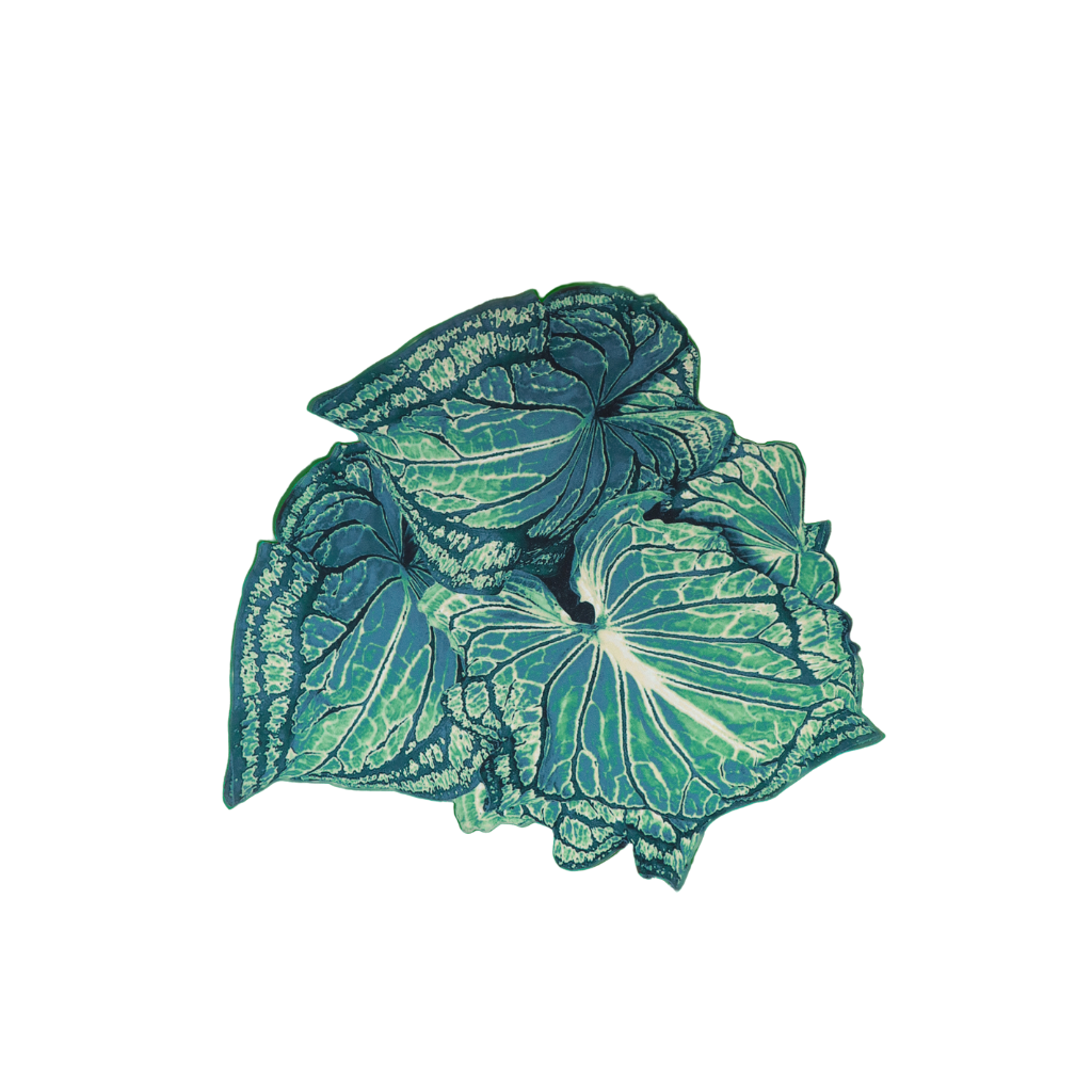 JOGO AMERICANO FOLHA DE TECIDO IMPERMEÁVEL - ESTAMPA VERDE LA VIDA